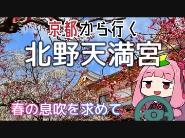 運転初心者でも行ける！北野天満宮【京都から行く初心者ドライブスポット #12】