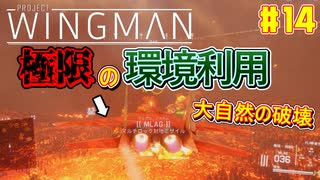 【ゆっくり実況】ほぼ1人で作ったエスコンが凄いらしい Part14【Project Wingman】