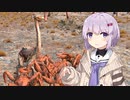 【第二回10秒動画祭】ゆかりちゃんが荒野に降り立つだけ　3日目