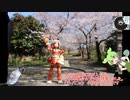 アクティビティのゆっくり（猫）　ゆるポタ道中　Part7　上堰潟公園・鳥之子神社（その周辺と跡地の桜スポット）へお花見ライド