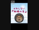 せわしない『蜘蛛の糸』
