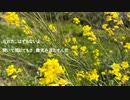 雨とソーダ - 秘密 【オリジナル】(ショート2)
