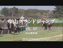 【競馬MAD】中山グランドジャンプ