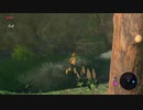 ゼルダの伝説　ブレスオブザワイルド