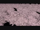 【素材】桜の山(俯瞰)