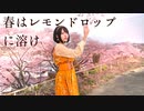 【朱灑しいと】春はレモンドロップに溶け【踊ってみた】