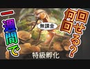 【検証】特級孵化をお金をかけず1週間で何回ガチャれるか試してみた