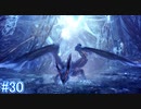 【MHW】モンスターハンター：ワールド 実況プレイ part30