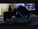【Detroit:Become Human】Case15　ヒッピーが正義、異論はまぁ多少認める【SIDE：コナー】