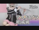 【コスプレ】アスノヨゾラ哨戒班 フルートで演奏してみた【ボカロ】IA