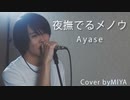 Ayase /『夜撫でるメノウ』（リクエスト曲）