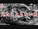 見たこともない魚【ゆっくり怪談】【怖い話】海にまつわる怖い話・不思議な話