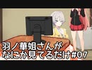 【第二回10秒動画祭】羽ノ華姐さんがなにか見てるだけ#07