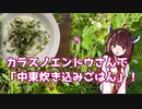 【思い切って野草を食べてみよう】#64 カラスノエンドウさんで「炊き込みごはん」！