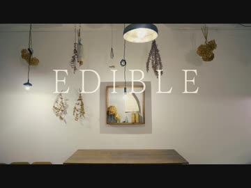 【VY2&DEX】EDIBLE【カバー】