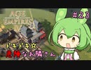 【AOE4】ずんだもんが帝国を興すのだ！＃２３