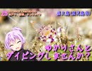 【屋久島(鹿児島県)】ゆかりさんとダイビングしませんか？