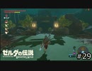 サクッとBotW【ゼルダの伝説BotW実況】#29