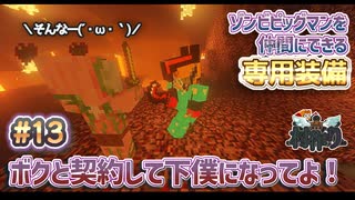 【MineCraft】剣で殴ってゾンビピッグマンを仲間にする　- 眠れぬ南瓜鳥DoroCZの村作り#13