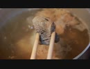 【料理ASMR】黒毛和牛すじ肉＆すね肉成長日記【4日目】