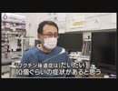 長尾医師出演：驚愕！子ども達を襲う、遺伝子組換ワクチン後遺症！