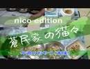 今週のおやつ（本隊）【蒼民家の猫々】