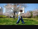 【兎野百菜】千本桜 踊ってみた