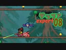 【ゲーム実況】アップデートされたテラリアを上級モードで遊ぶ 08【テラリア】