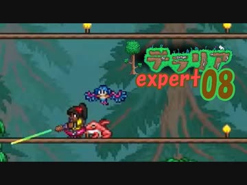 【ゲーム実況】アップデートされたテラリアを上級モードで遊ぶ 08【テラリア】