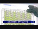感染は連座制 ＆ PCRで13兆円