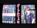 自分たちのことだけしか考えてないテニスの王子様ドキドキサバイバル実況【10】