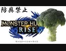 防具なし縛りのモンハンライズSTEAM版実況プレイ【MHRISE】part１