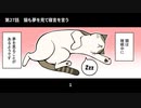 猫との暮らしを始めてみた 21話～30話