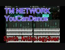 TM NETWORK  YouCanDance