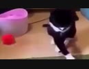 ホモと見る　こんな時もあるよ集