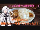 アリアルさんに唐揚げカレーを食べさせてみたよ！全ての食材に感謝を込めて……