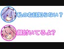 ミコト「私の右目知らない？」ヒメ「顔付いてるよ」【ふたセリフ 11】