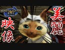 これがsteam版モンハンライズのグラフィックか・・・【steam版 モンハンRISE ゆっくり実況 #2】