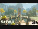 サクッとBotW【ゼルダの伝説BotW実況】#30