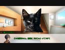 【クトゥルフ神話TRPG】壊れた世界で生き残るTRPG　3話「星辰正しき後」