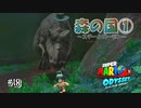 【ｵﾃﾞｯｾｲ】初見だけど！探索も苦戦もたのしむオデッセイ！#18【実況】