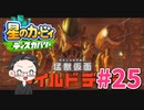 【大福さんの】 星のカービィ ディスカバリー 【ゲーム実況】part25