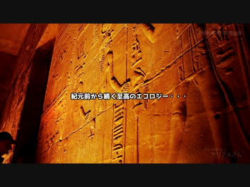 【第二回10秒動画祭】至高のエコロジー