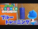 【あつまれ どうぶつの森 ハッピーホームパラダイス実況】別荘？？OK！任せて！アイダホの別荘「ブルートレーニング」完成編