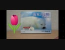 アザラシ 図鑑 レビュー