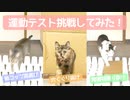 猫ちゃん紙コップ＆段ボールチャレンジやってみた！