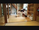 松戸事務所。ちょっとお掃除｡。