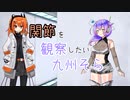 関節を観察したい九州そら