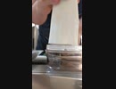 カメラテストしらす