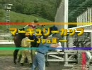 競馬　2008　マーキュリーカップ（G3)